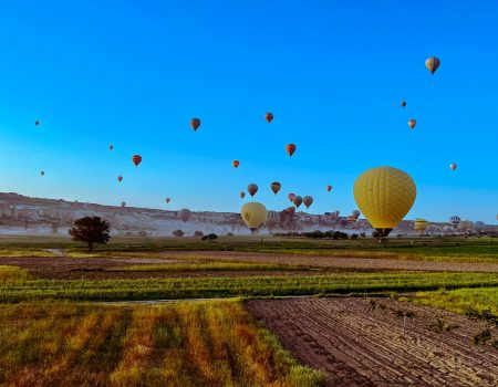 kseniia-poroshkova-tsufQygCYj4-unsplash