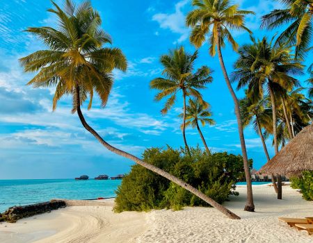 mike-swigunski-ueBmz9K8zTg-unsplash